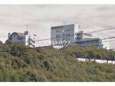 愛知産業大学三河高等学校：258m