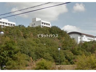 愛知産業大学：230m