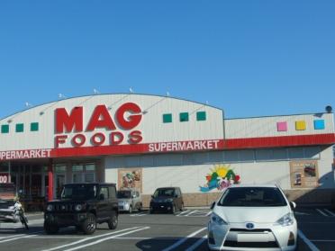 マグフーズ 六ツ美店：164m