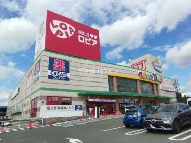 ロピア岡崎インター店：125m