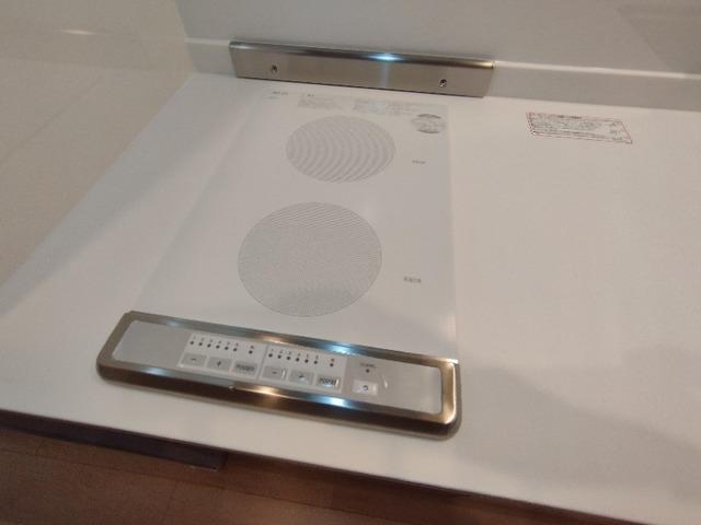 レスポワール　ドゥ　シュド（103） キッチン
