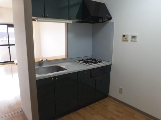Annex Pair（302） キッチン