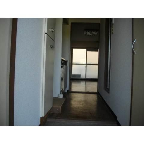 ヒルズ藤川（Hills　Fujikawa）（1A） 玄関
