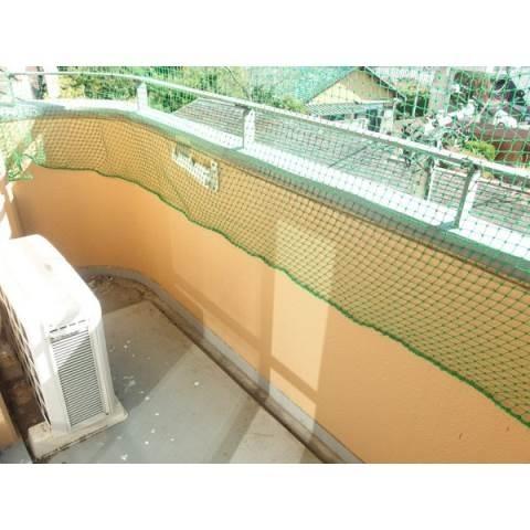 ステープル六供（502） 部屋画像