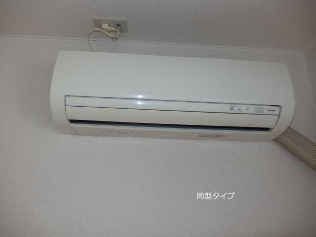 マリポーサ（205） その他