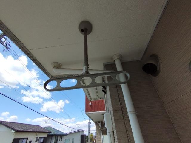 サンフラワー（101） その他