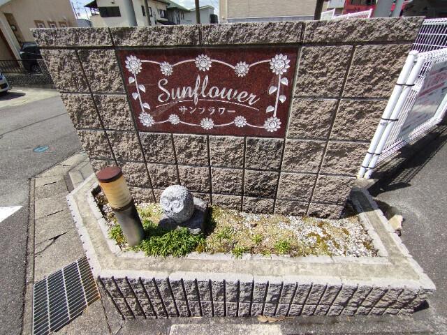 サンフラワー（101） その他