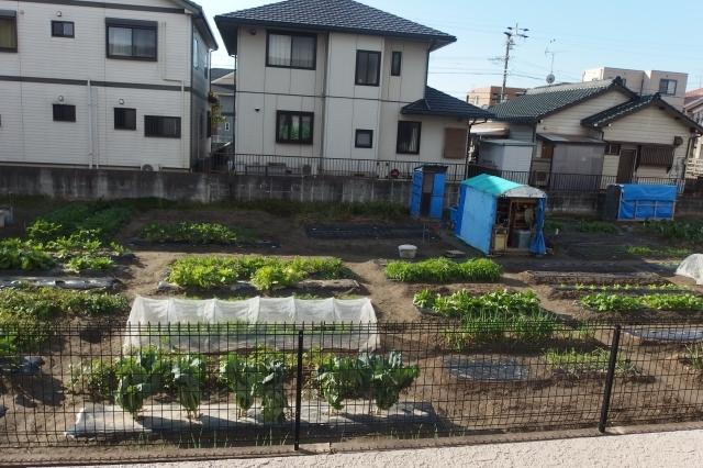 サニーパレス北野Ｃ（102） 部屋画像