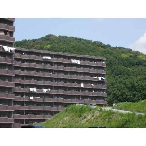 天神山マンションⅡ号館（210） 外観