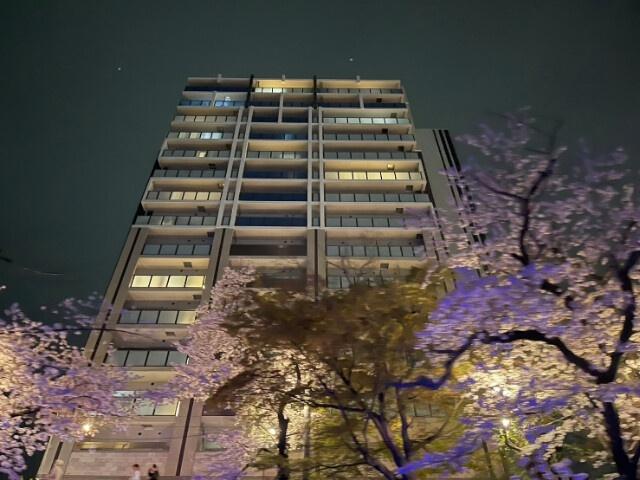 桜が咲いているタイミングの外観