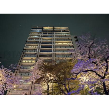 桜が咲いているタイミングの外観