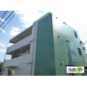 緑のツートンカラー