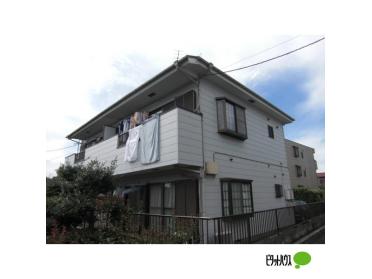 南向きです