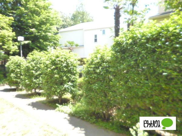 アムール・ウェステリア 部屋画像
