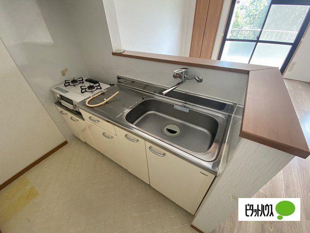 第3岩崎ビル（205） キッチン