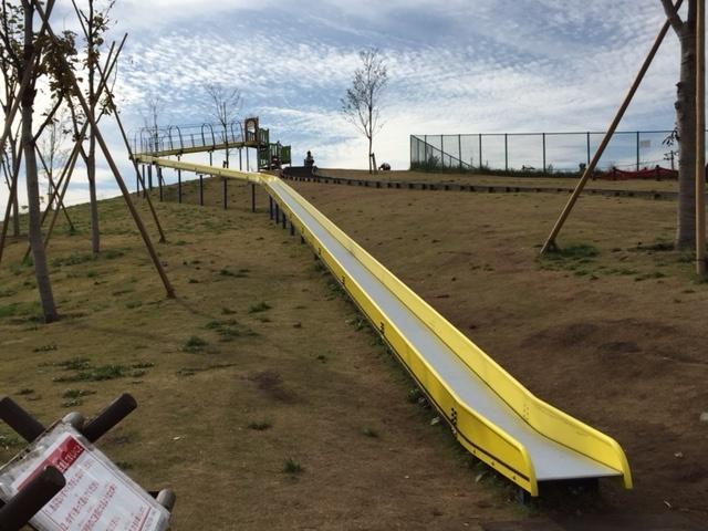 東京都立東伏見公園：807m