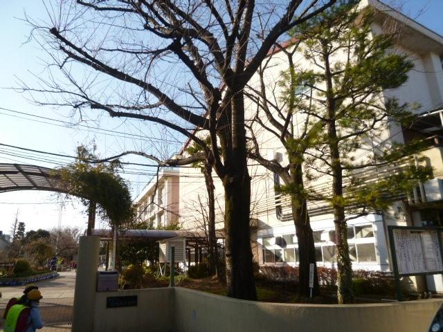 練馬区立関町北小学校：453m