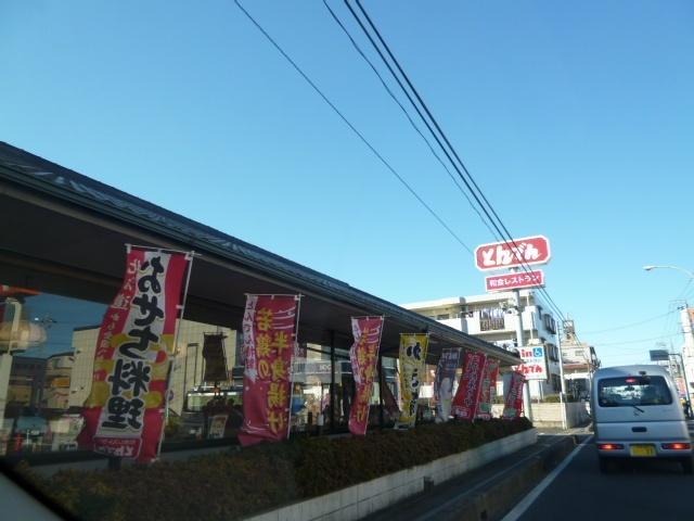 和食レストランとんでん新座店：241m