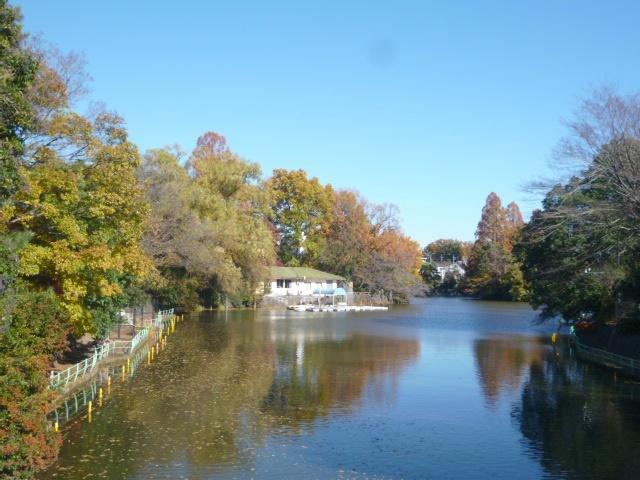 武蔵関公園：1016m