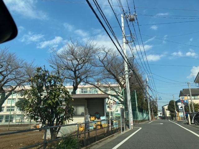 練馬区立大泉学園小学校：743m