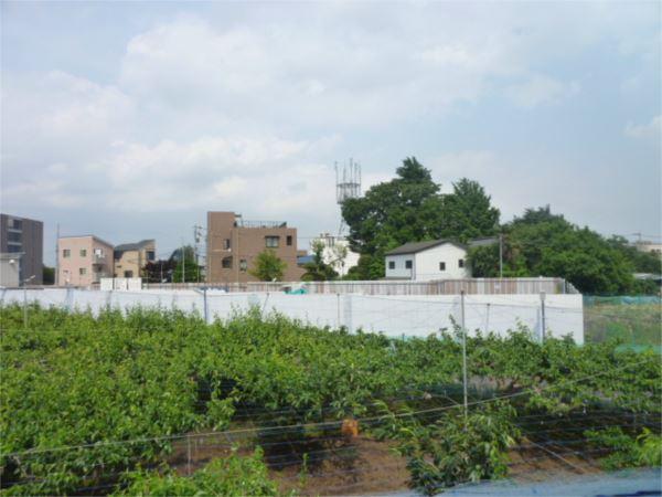コーポビュー 眺望