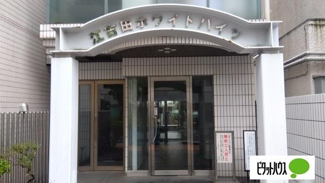 江古田ホワイトハイツ 物件画像