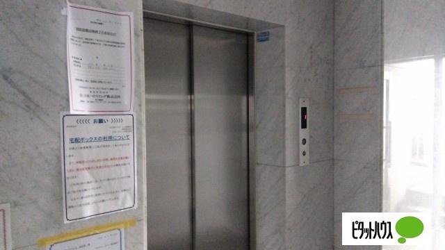 江古田ホワイトハイツ 物件画像