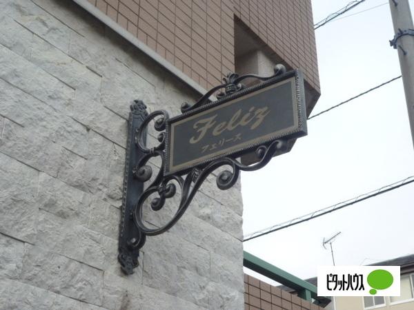 フェリース その他