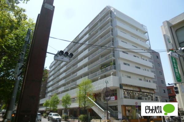ひばりヶ丘・プラザ 外観
