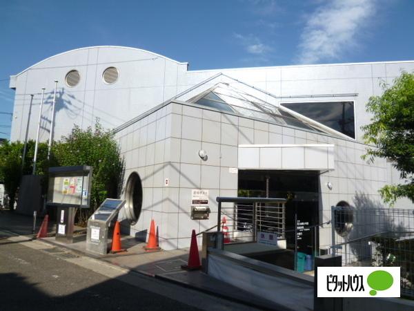 図書館