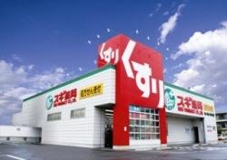スギドラッグ尼崎水堂町店：508m