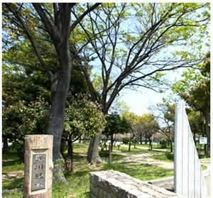 蓬川緑地：266m