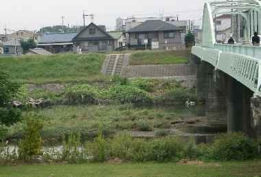 藻川河川敷緑地：1878m