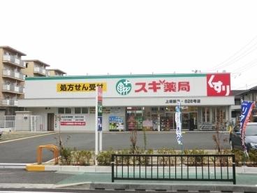 スギ薬局上坂部店：447m