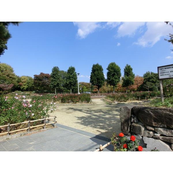 大井戸公園：214m