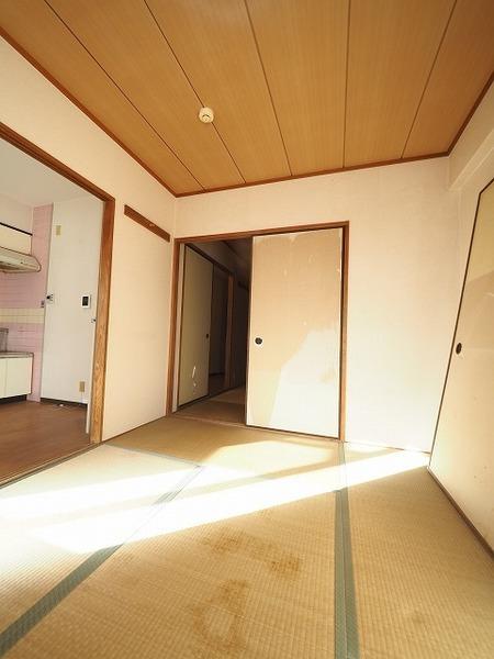 メゾン富松（203） その他部屋・スペース