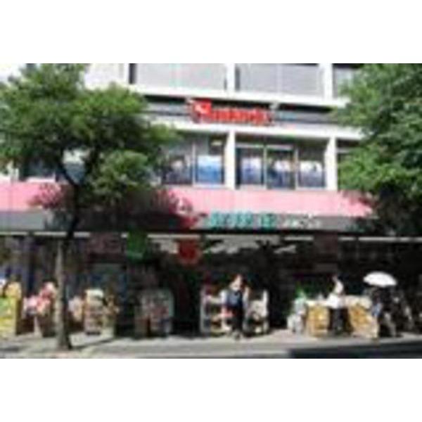 スギドラッグ南武庫之荘店：541m