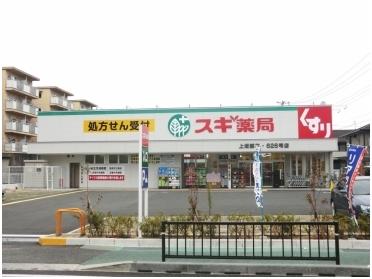 スギ薬局上坂部店：383m