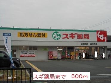 スギ薬局：500m