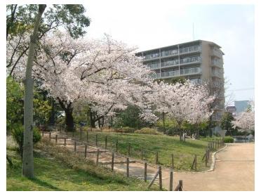 尾浜公園：596m