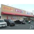 ウエルシア尼崎新園田店：1352m