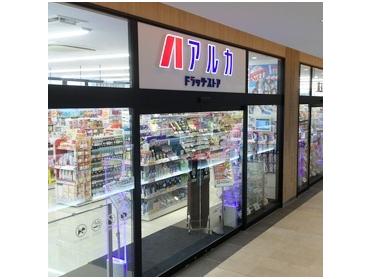 アルカドラッグビエラ塚口店：846m