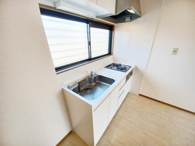 アベニュータツミ　Ａ棟（A107） 部屋画像
