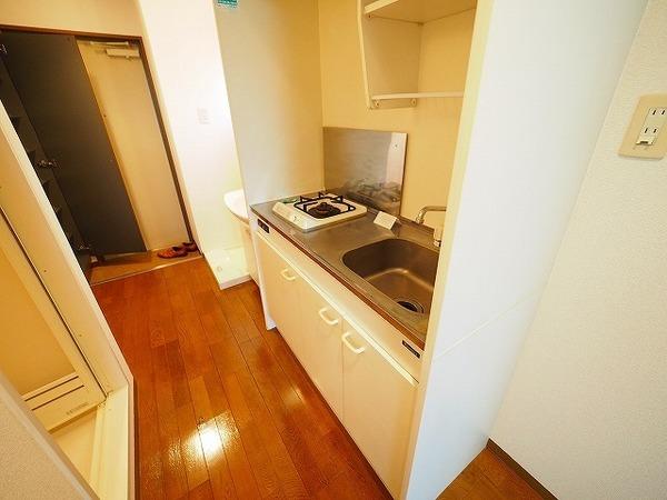 ＣＯＺＹセイケン参番館（402） その他部屋・スペース