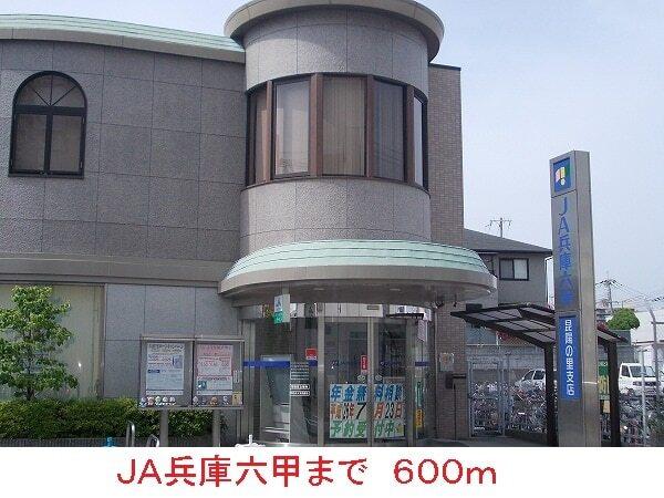ＪＡ兵庫六甲：600m