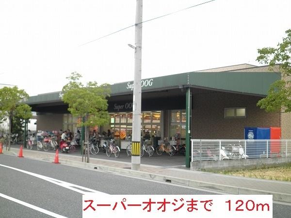 スーパーオオジ：120m