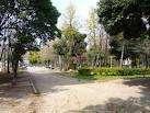 大井戸公園：737m