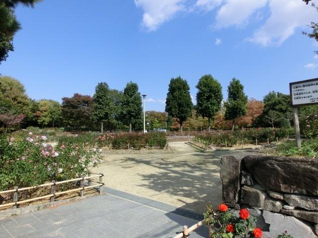 大井戸公園：345m