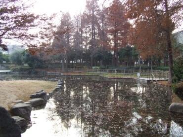 近松公園：345m