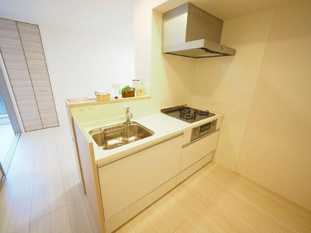 Meteor Grand（201） キッチン